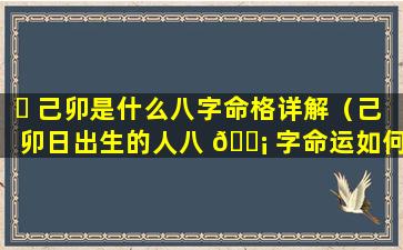 ☘ 己卯是什么八字命格详解（己卯日出生的人八 🐡 字命运如何）